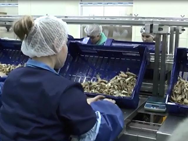 Фасовочный конвейер  в Клинцах